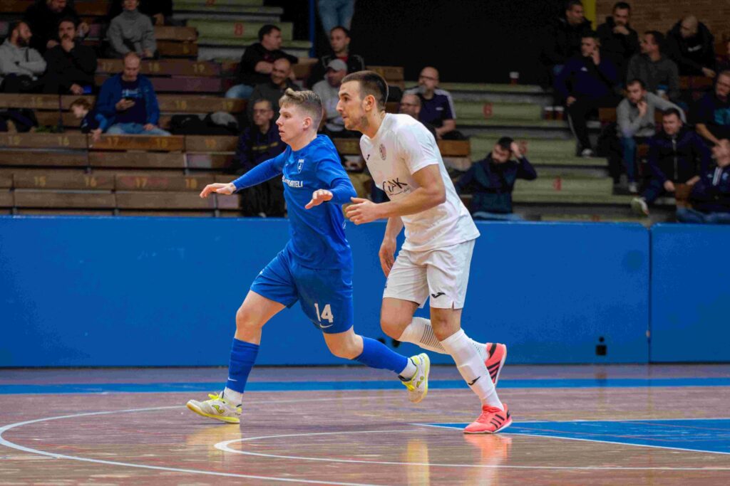 dinamo crnica