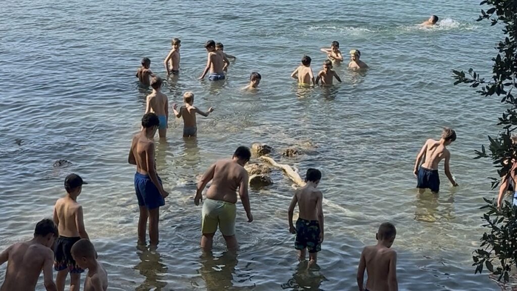 Kamp